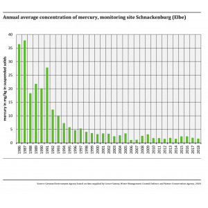Annual average concentration of mercury, monitoring site Schnackenburg (Elbe)