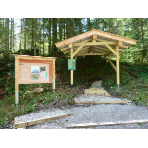 Station mit Felshumusboden (Boden des Jahres 2018)