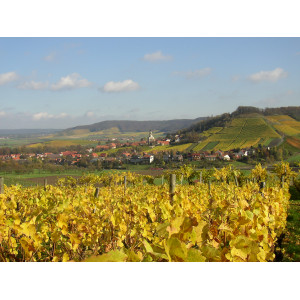 Die Landschaft an der Station Castell