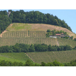 Die Landschaft an der Station Handthal