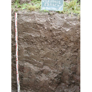Das Bodenprofil am Standort Handthal, Typ Unterer- und Gipskeuper (vorwiegend Ton- und Schluffstein)