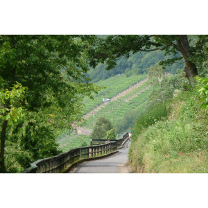 Landschaft an der Station Klingenberg