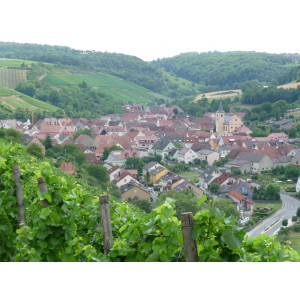 Die Landschaft an der Station Retzstadt