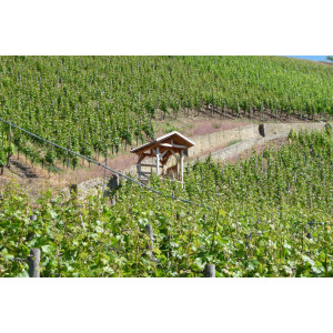 Die überdachte Bodenstation an der Station Vogelsburg