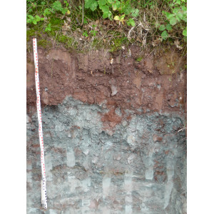 Das Bodenprofil am Standort Zeil am Main, Typ Sandsteinkeuper (vorwiegend Sandstein)