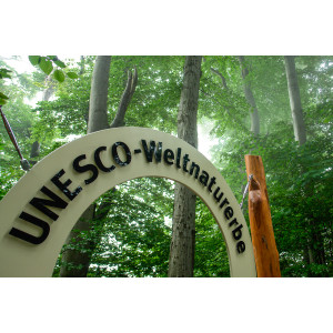 Fenster ins UNESCO-Weltnaturerbe