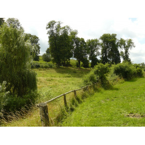 Wiesen und Bäume im hügeligen Gelände im Sommer mit der Station in einer Baumgruppe