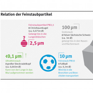 PM2,5 ist in Relation zu anderen Feinstaubpartikeln etwa so groß wie eine Christbaumkugel (ca. 0,075m im Durchmesser). PM10 ist so groß wie ein Fußball (ca. 0,3 m i.D.). Großstaub ist so groß wie ein 3-Meter-Felsen, Ultrafeinstaub wie ein Stecknadelkopf