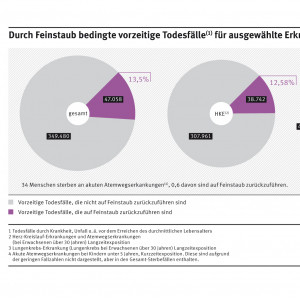 Von 349.480 vorzeitigen Todesfällen sind 47.058 (13,5%) Feinstaub bedingt. Davon sind 307.961 (gesamt) bzw. 38.742 (Feinstaub bedingt) Herz-Kreislauf-Erkrankungen und Atemwegserkrankungen. 41.485 bzw. 8.316 sind Lungenkrebs-Erkrankungen.