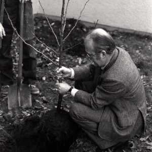 Heinrich von Lersner pflanzt ein Bäumchen: Der UBA-Präsident übernahm die Baumpatenschaft für zwei Gingkos auf dem UBA- Gelände am Bismarckplatz. Die bis heute existierende Baumpaten-Aktion hat der Berliner Künstler Ben Wagin ins Leben gerufen.