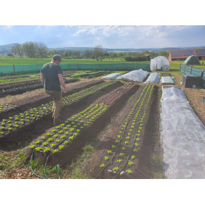 Wettbewerb Blauer Kompass stellt seine Bewerber vor, damit abgestimmt werden kann, welches Projekt gewinnt. Zu sehen das Projekt Hof Tolle mit seinem Market Gardening.