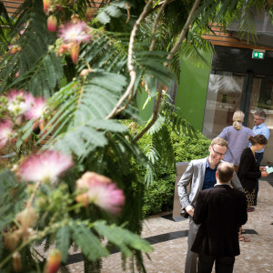 Der Blick geht von schräg oben auf Teilnehmerinnen und Teilnehmer, die sich während der Pause vor dem Eingang zur Workshopraum im Atrium angeregt unterhalten. Die Tür im Hintergrund ist verglast. Im Vordergrund sind die Baumblätter und roten -blüten eines Mimosenbaumes zu sehen.