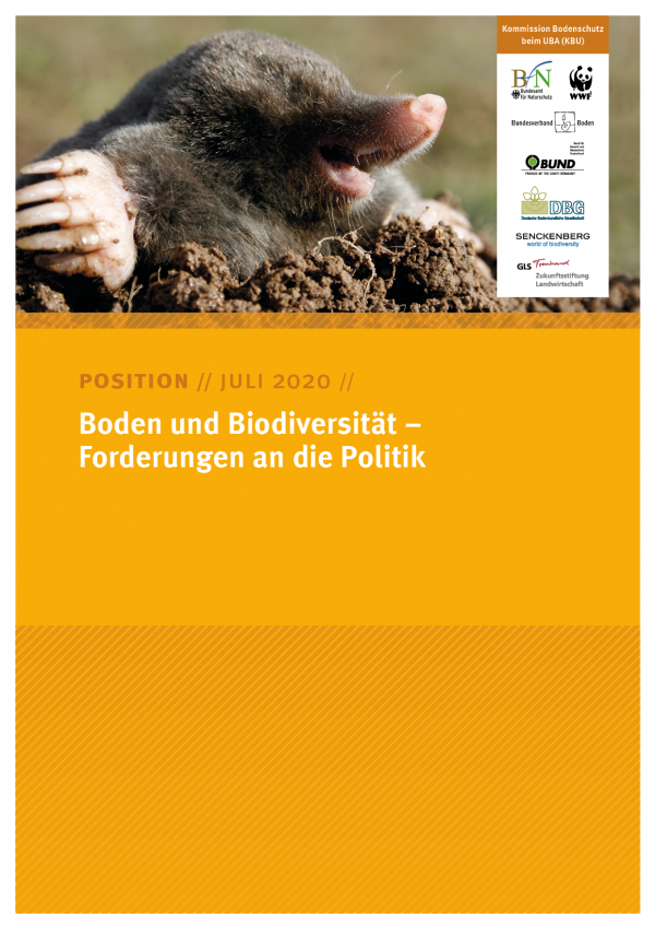 Cover des Positionspapiers Boden und Biodiversität – Forderungen an die Politik