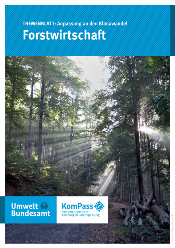Cover von "Anpassung an den Klimawandel: Forstwirtschaft" mit einem Foto eines Laubwaldes, durch den Sonnenstrahlen durch die Bäume filtern