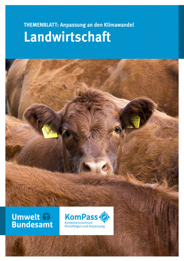Cover von "Anpassung an den Klimawandel: Landwirtschaft"; Titelfoto: Ein Rind steht zwischen anderen Rinder auf einer Weide