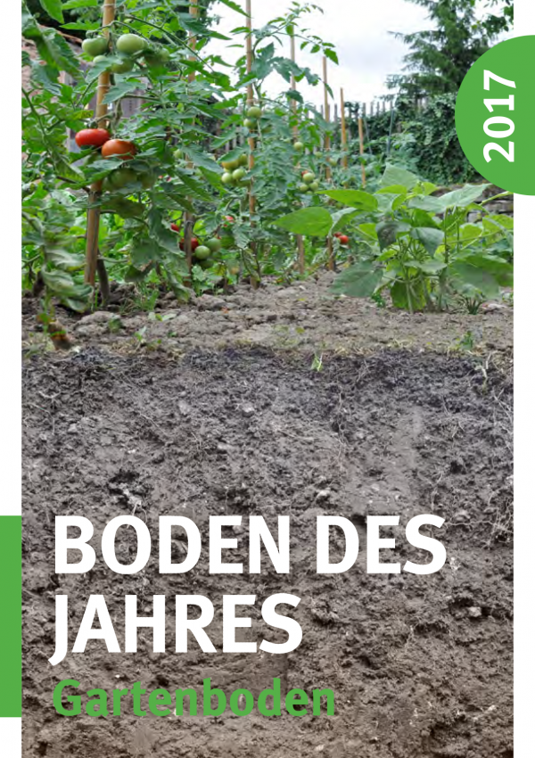 Das Cover zeigt Gartenboden, darüber Tomatenpflanzen