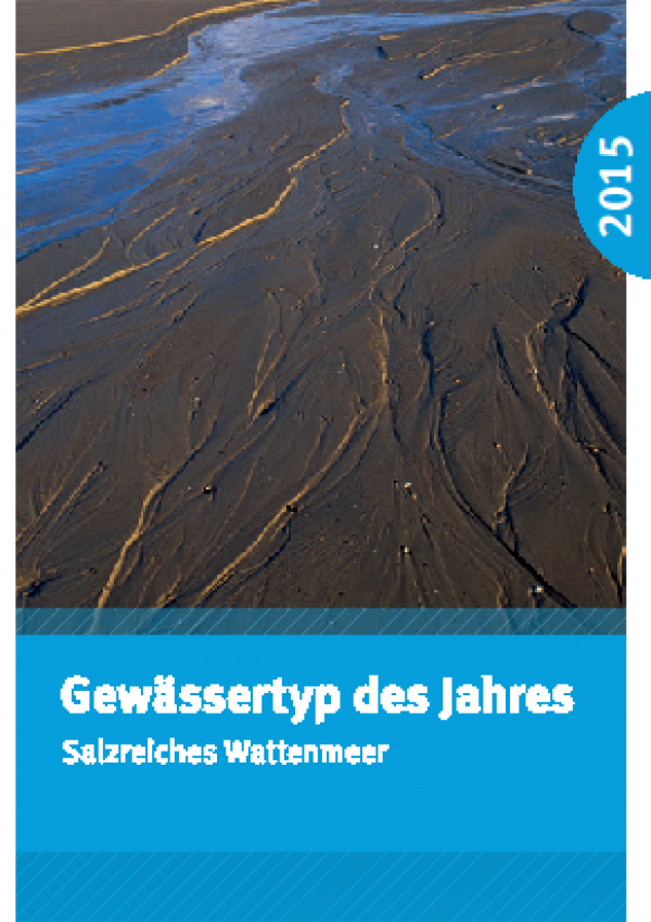 Cover Flyer Gewässertyp des Jahres 2015