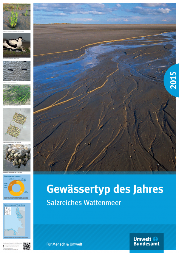 Cover Poster Gewässertyp des Jahres 2015