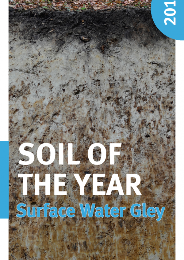 Cover Poster Soil of the year