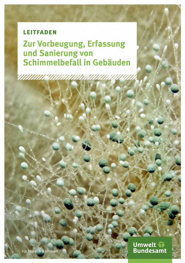 Haufige Fragen Bei Schimmelbefall Umweltbundesamt