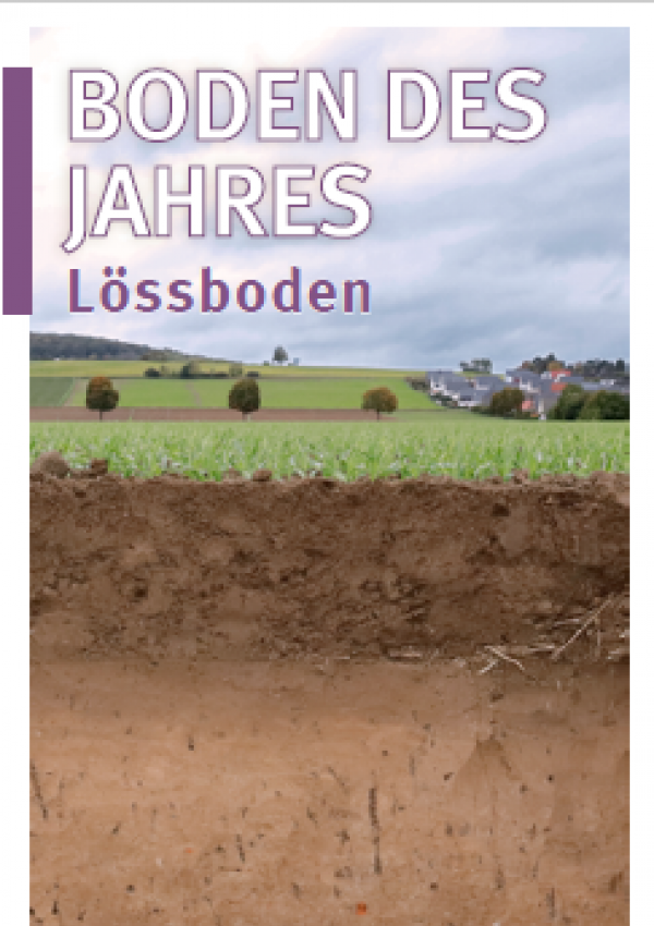 Titelbild Bodenprofil Lössboden
