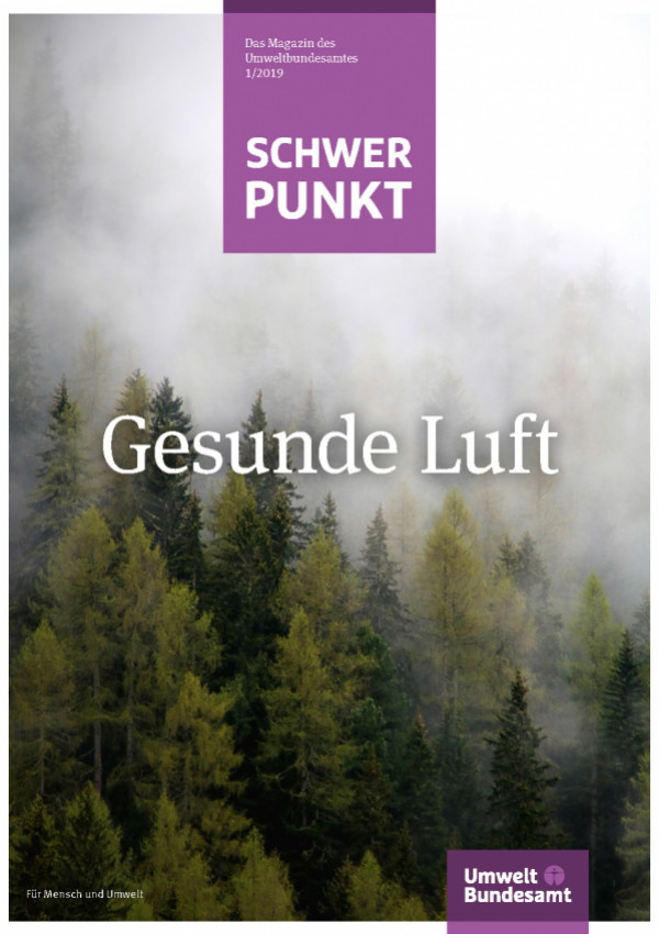 Titelbild. Nebel über dichtem Waldstück. Schwerpunkt 1-2019: Gesunde Luft