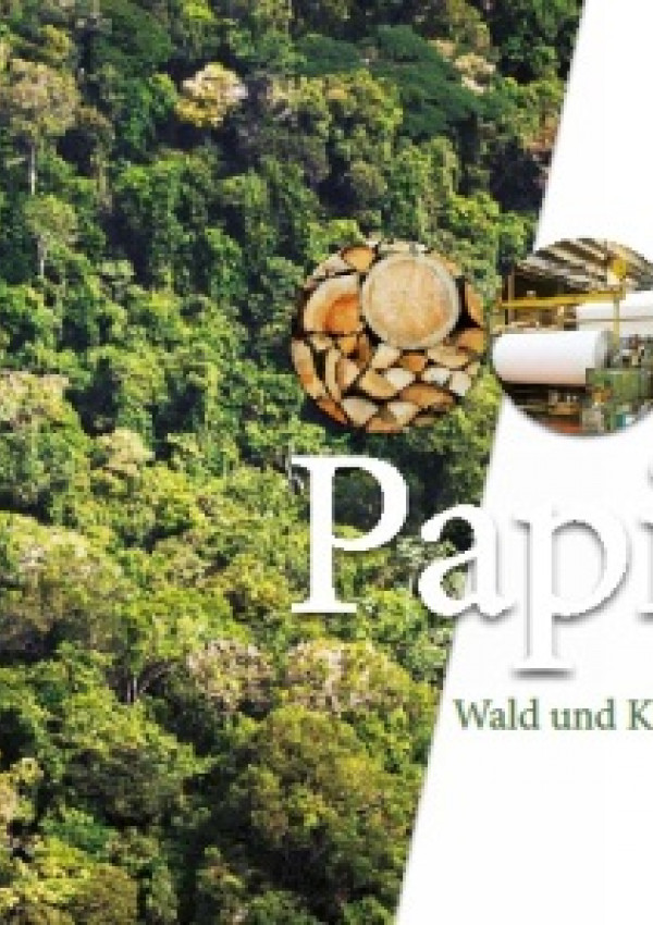 Publikation:Papier. Wald und Klima schützen