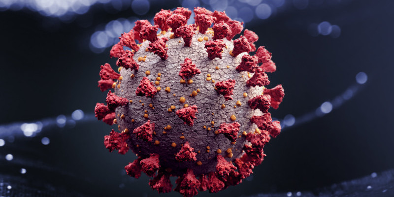 a virus in a close-up foto