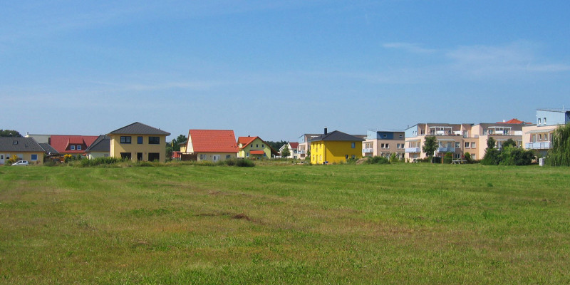 grüne Wiese