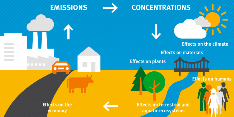Sources and effects of air pollution