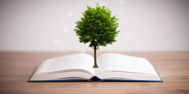 Book blooming out of a tree