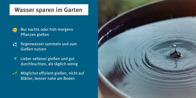 4 Tipps zum Wasser sparen im Garten, rechts daneben eine Abbildung einer gefüllten Regenwassertonne