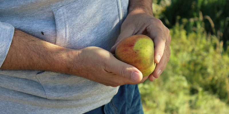 Ein Mann hält einen Apfel in der Hand.