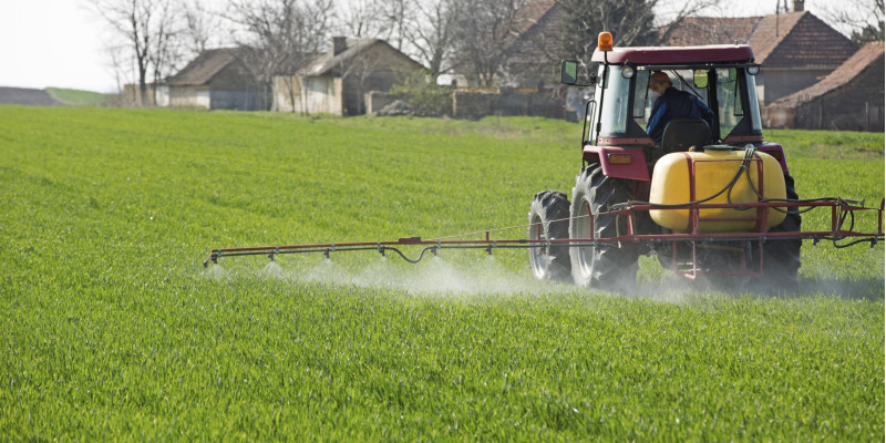 Ein Traktor fährt über ein grünes Feld und versprüht Pflanzenschutzmittel.