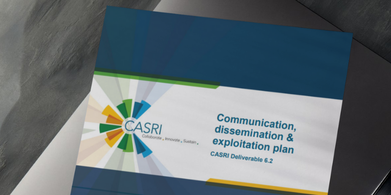Die Graphik zeigt das CASRI Logo. Vielfarbige Elemente zentrieren sich um das Akronym als Ausdruck der Synthese des Projektes.