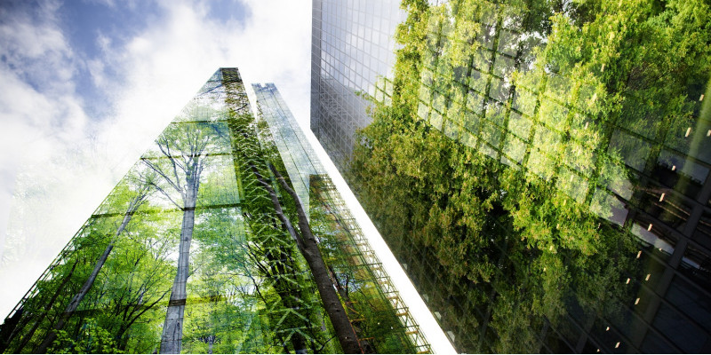 skyscrapers with glass facades, in which trees reflect