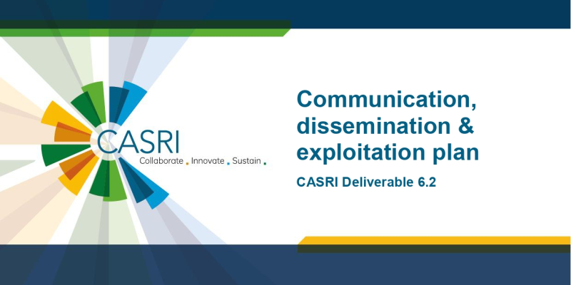 The cover page of the article is shown, a dark blue A4 page with a white field containing the title. On the right edge is the CASRI logo.