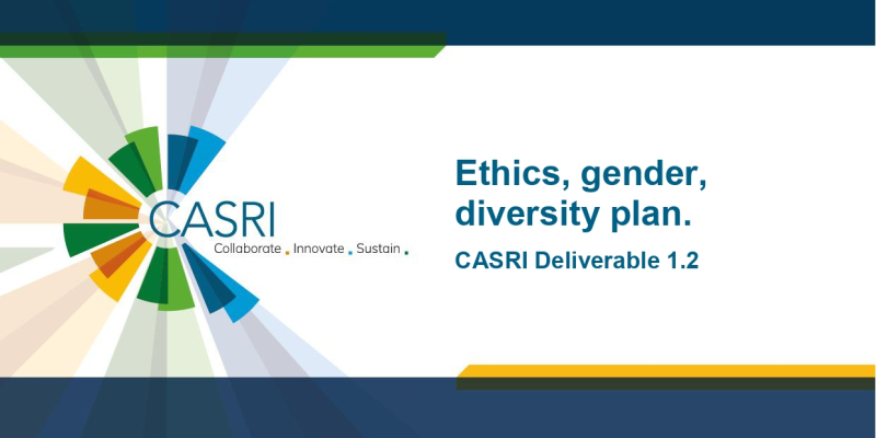 The cover page of the article is shown, a dark blue A4 page with a white field containing the title. On the right edge is the CASRI logo.