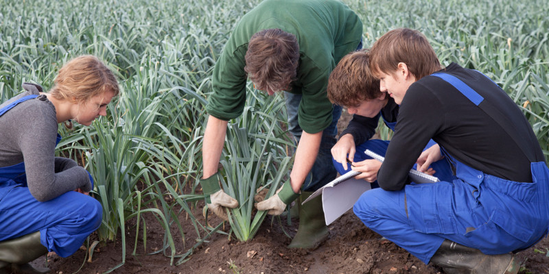 Bild von Jugendlichen in der Landwirtschaftsausbildung