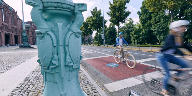 cycling network international