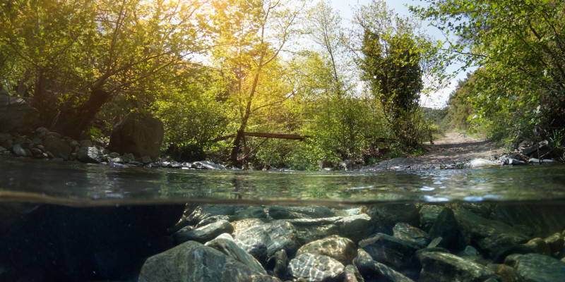 Foto: Eine natürliche Sohle eines grobmaterialreichen Baches mit Kies und Steinen. Das Ufer des Baches ist mit standorttypischen Gehölzen bewachsen.