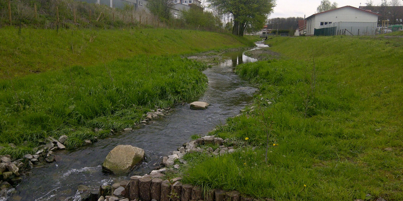 Foto: Renaturierter Heerener Mühlbach mit abgeflachten Ufern. Der Uferverbau ist vollständig entfernt.