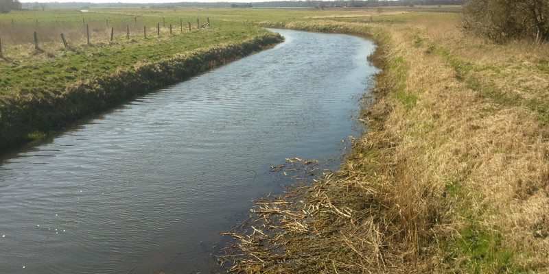 Foto: Der Fluss Alte Nebel verläuft geradlinig durch die Landschaft. Das Gewässer ist sehr monoton und ohne besondere Strukturen.