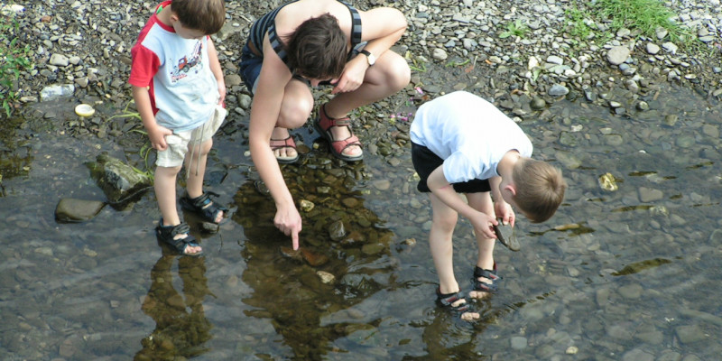 Foto: Eine erwachsene Person und zwei Kinder, die mit den Füßen im Wasser direkt am Ufer der Ruhr stehen und die Steine im Gewässer betrachten. 