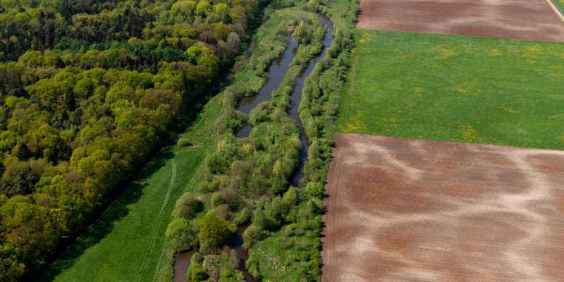 Aerial view of a restored section of the Wuemme. Several side channels lie along the curved course of the main watercourse. On one side of the watercourse, a riparian buffer strip with trees separates the river from the adjacent agricultural areas. Grassland and forest areas are found on the other side.