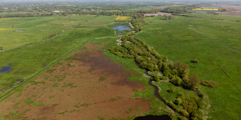 Luftbild des Entwicklungskorridors der Wümme mit Sträuchern und Bäumen im Uferbereich, der sich deutlich vom benachbarten Grünland und Acker abgrenzt und weit durch die Landschaft zieht.