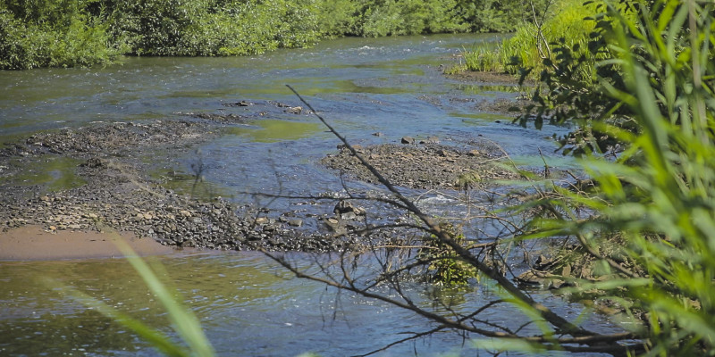 Foto: Kiesbänke in flacher Wümme als Verbesserung der Gewässerstruktur: Die Ufer sind mit dichter Vegetation bewachsen.