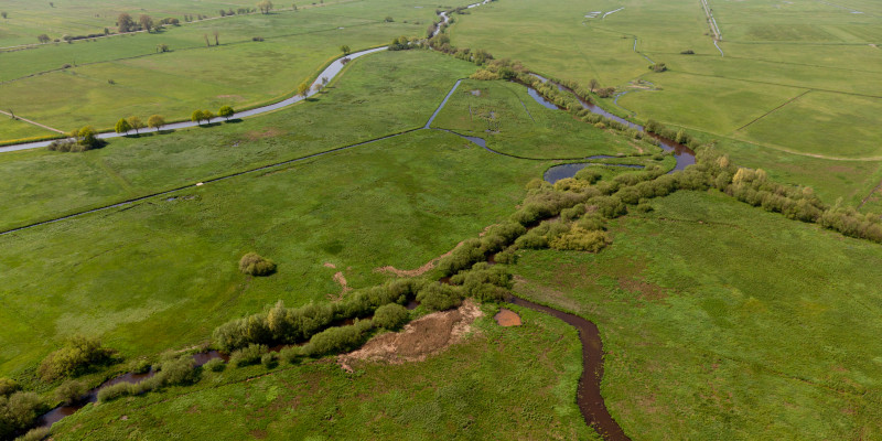 Luftbild des nassen Dreiecks an der Wümme mit Sträuchern und Bäumen im Uferbereich und umgebenden wiedervernässten Feuchtwiesen.