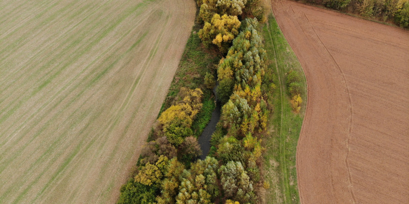 Luftbildaufnahme des wenige Meter breiten Randstreifens aus Bäumen und Sträuchern, die den Fluss Helme von landwirtschaftlichen Flächen abgrenzt.