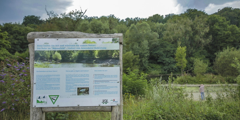 Foto: Eine Informationstafel über eine Renaturierung eines Gewässers, welches im Hintergrund zwischen zahlreicher Vegetation erkennbar ist. Das Schild erklärt das Besondere an dieser Natur, warum es Regeln und Verbote gibt und wie man helfen kann, die Natur zu schützen.